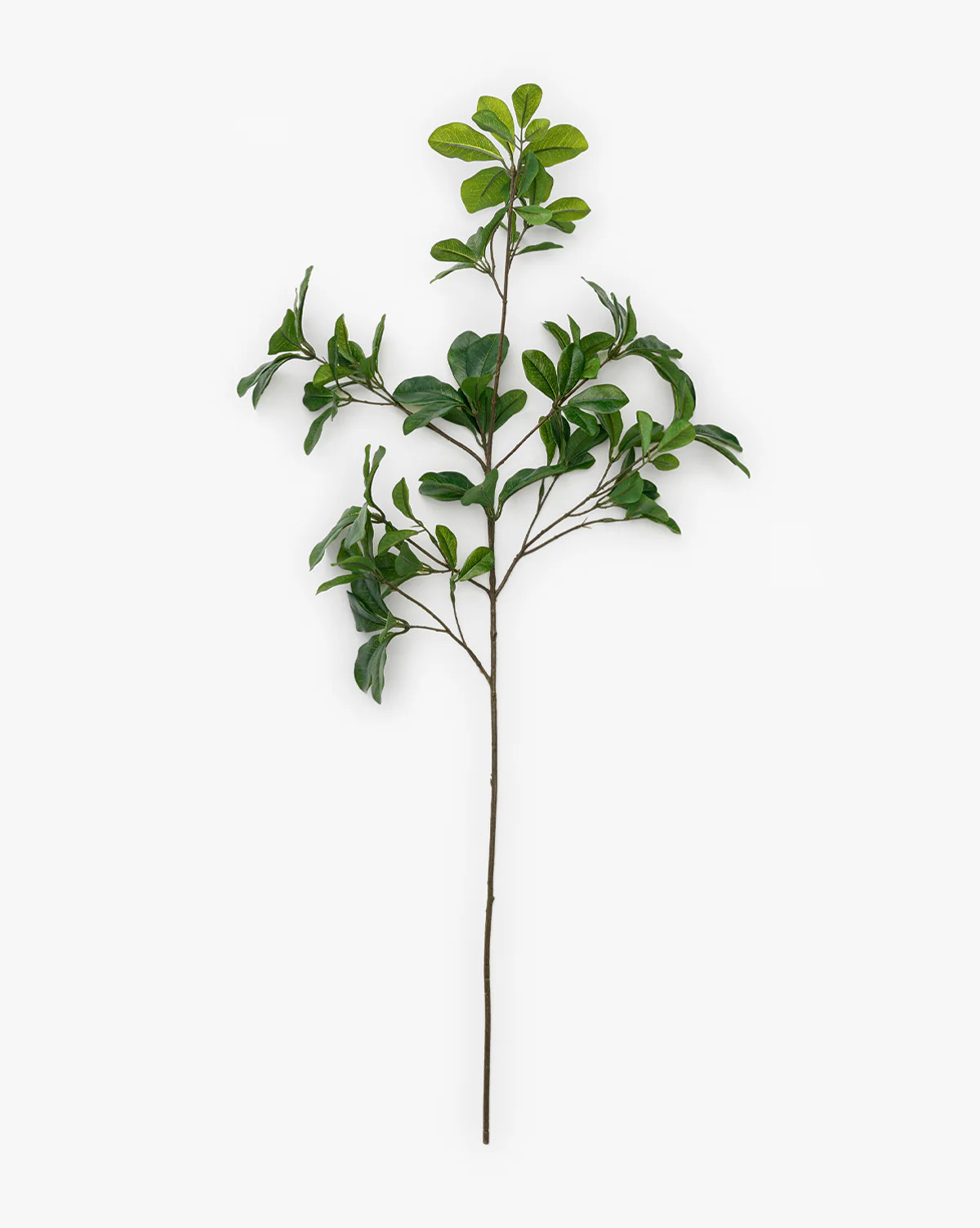 Faux Shady Lady Stem | McGee & Co. (US)