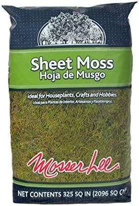 Mosser Lee ML0460 Natural Green Sheet Moss, 325 sq. in. | Amazon (US)