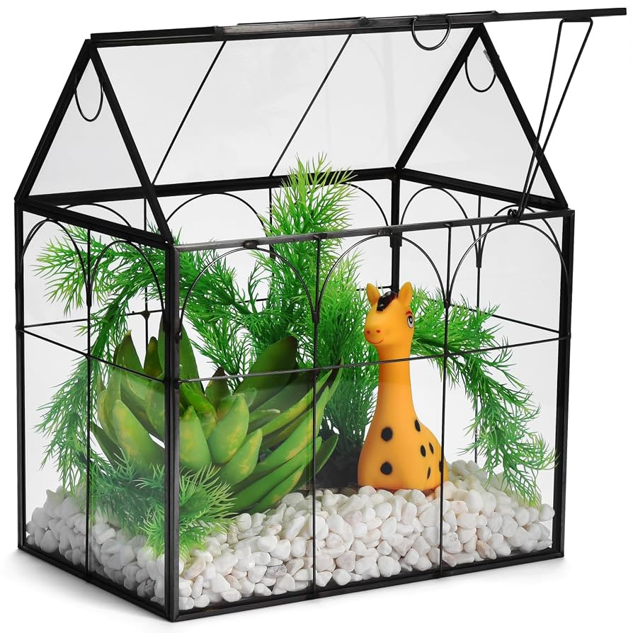 Window Garden Glass Terrarium with Lid - 9x11x6-Inch Indoor Greenhouse Plant Terrarium Decor Plan... | Amazon (US)
