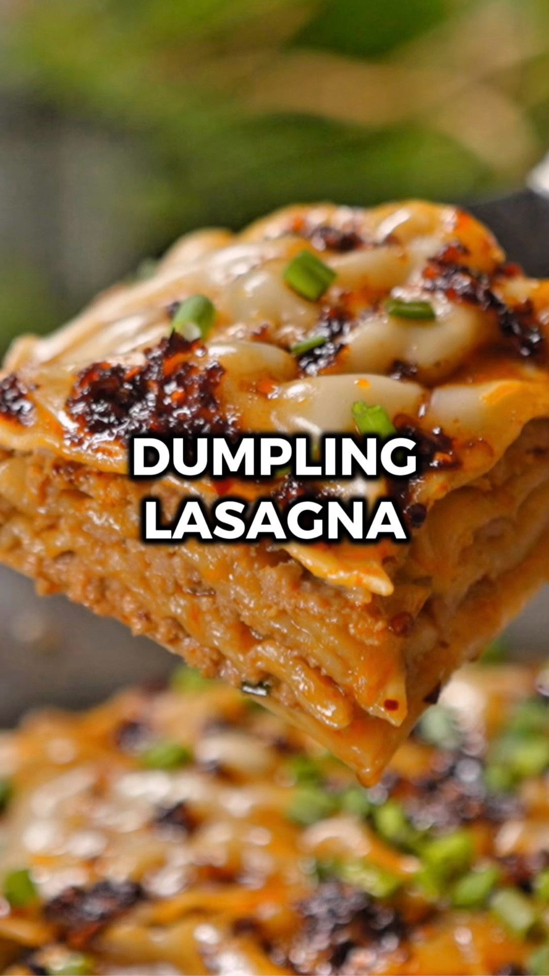 This viral dumpling lasagna is one of those TikTok recipes that’s actually good!

So, I made dumpling cups a couple months ago, which are kind of similar, but personal sized. THIS, on the other hand, is for when you don’t want to be all fancy and feed the whole crew!

You don’t have to fold the dumplings, just layer the wrappers and the filling and steam the whole thing.

Would you try it? Let me know in the comments what you think if you do! 🙌

INGREDIENTS
16 oz ground pork
5 scallions (chopped)
3 garlic cloves (minced)
1 inch piece ginger (minced)
¼ cup soy sauce
1 tsp sugar
1 tsp chicken bouillon powder
1 tsp garlic powder
1 tsp chili crisp
27 dumpling wrappers (round or square)
½ cup hot water
chili oil (to taste)
soy sauce (to taste; for topping)
2 stalks scallions (chopped; for topping)
sesame seeds (to taste)

INSTRUCTIONS
1️⃣ In a large bowl, mix together the ground pork, chopped scallions, minced garlic, minced ginger, soy sauce, sugar, chicken bouillon powder, garlic powder, and chili crisp until everything is well combined.
2️⃣ Grab a 7"x9" baking pan (about 3 inches deep) and spread about a third of your meat mixture across the bottom. Layer 9 dumpling wrappers on top with just a slight overlap, then add another layer of meat, another 9 wrappers, more meat, and finish with the last 9 wrappers. Pour the hot water gently over everything.
3️⃣ Preheat the oven to 400°F. Set your smaller pan inside a larger pan and fill the outer pan with boiling water until it reaches halfway up the sides of your dumpling pan. Cover everything with foil and bake for 35 minutes.
4️⃣ When the wrappers look wrinkly and dimpled, take it out of the oven. Drizzle with chili oil and soy sauce, then sprinkle with chopped scallions and sesame seeds.
5️⃣ Enjoy!

#LTKHome #LTKfoodie
