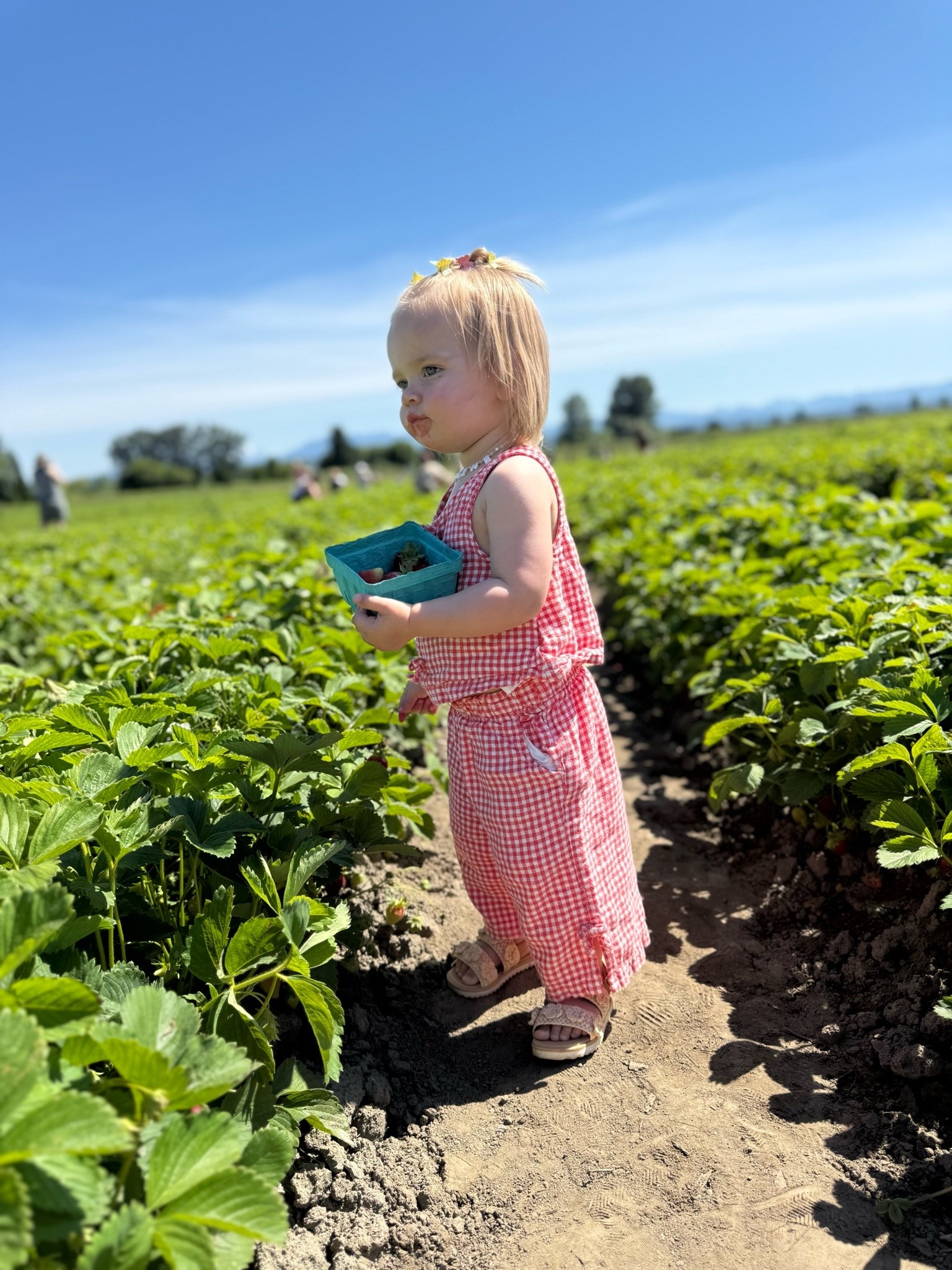 Strawberry season 🍓☀️

@Target

#LTKKids #LTKSeasonal #LTKmomlife