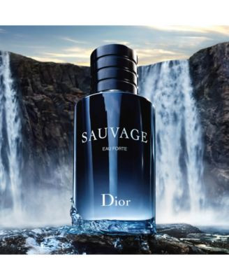 Dior Mens Sauvage Eau Forte Parfum Fragrance Collection | Macy's