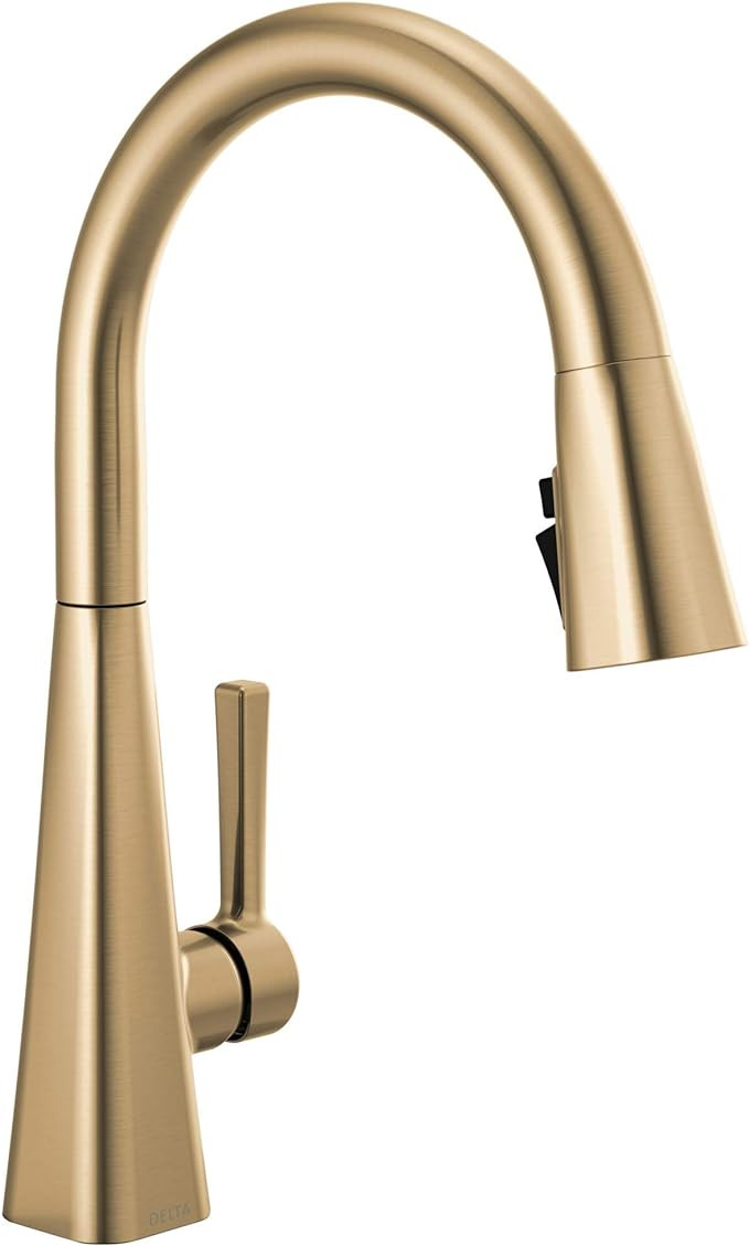 Delta Faucet Lenta Gold Kitchen Faucets with Pull Down Sprayer, Kitchen Sink Faucet with Magnetic... | Amazon (US)
