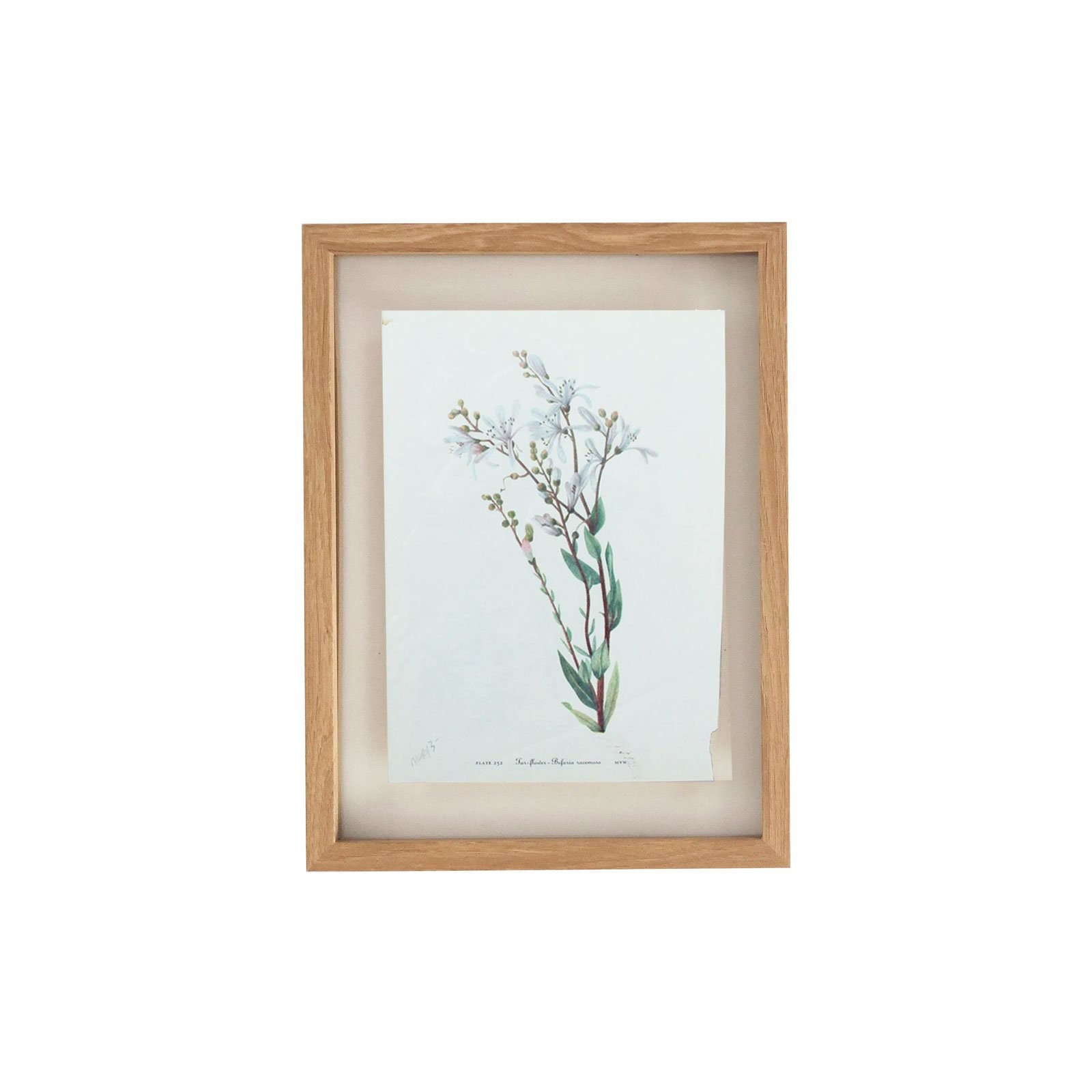 Vintage Framed Botanical Print No. 4 | Brooke & Lou | Brooke and Lou