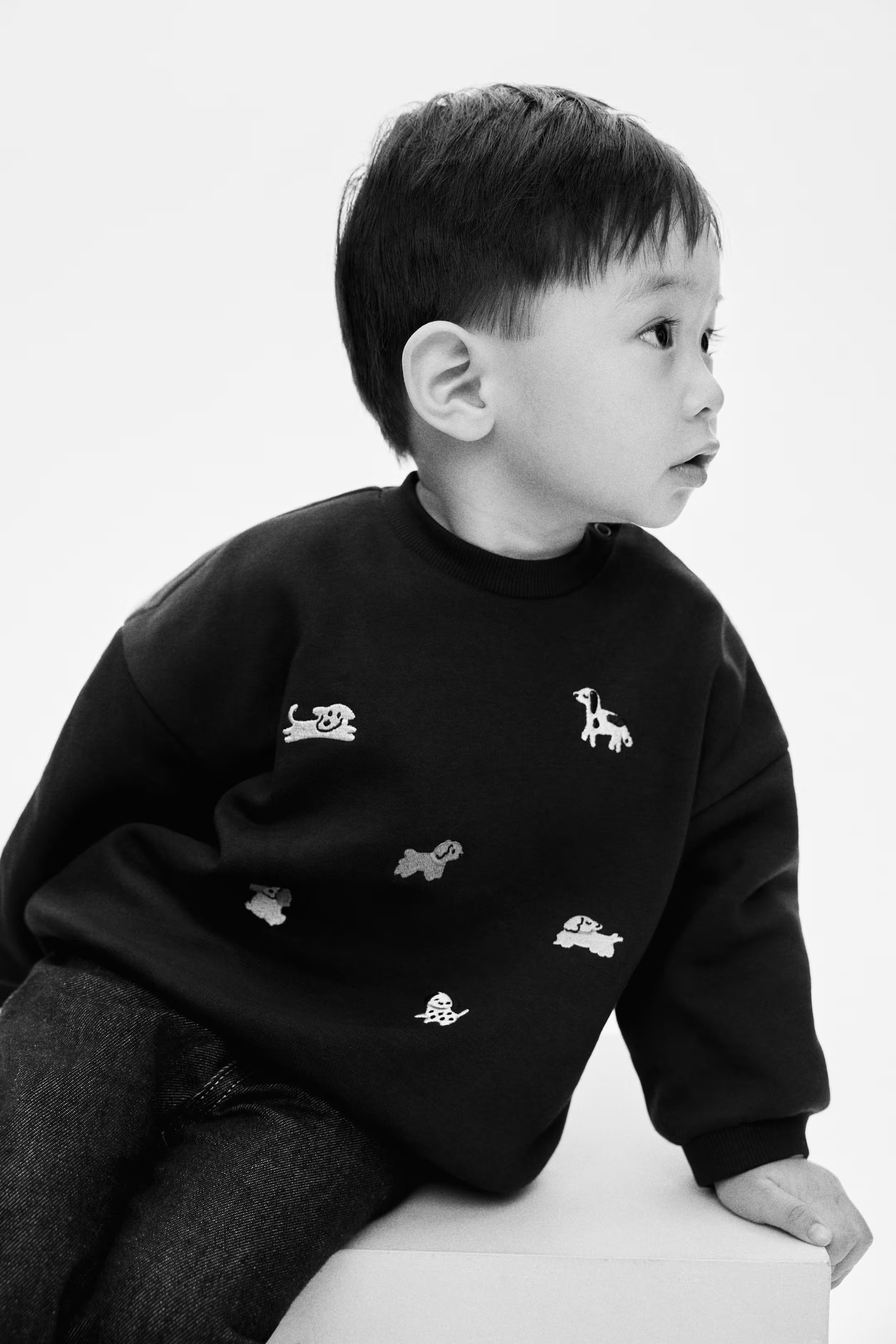 Motif-Detail Brushed-Inside Sweatshirt | H&M (US + CA)