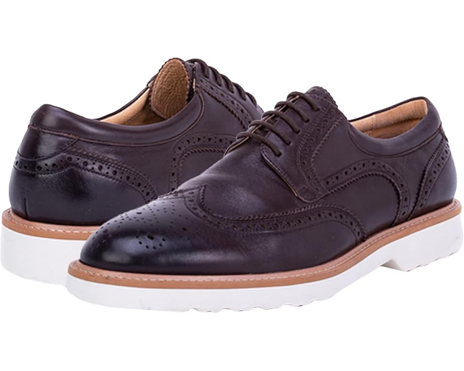 Zanzara Ace | Zappos