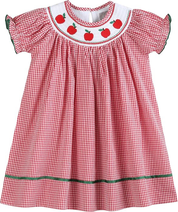 Lil cactus Baby and Girls Gingham Smocked Bishop Dress | Amazon (US)