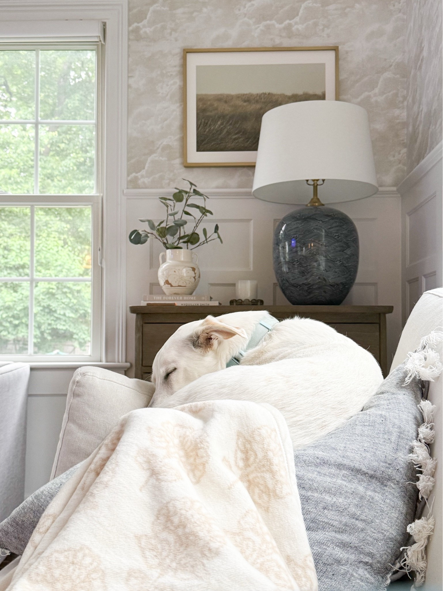 Closest weekend on the sofa binging movies with the kids (under the softest fleece blanket 🩶)

#LTKSaleAlert #LTKHome #LTKSeasonal