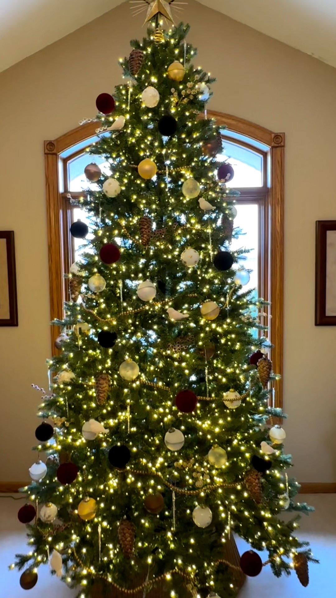 A client’s new Christmas tree! 🎄 

#tree #christmastree #simple #christmasdecor #organizeddwelling 

#LTKHome #LTKSaleAlert #LTKHoliday