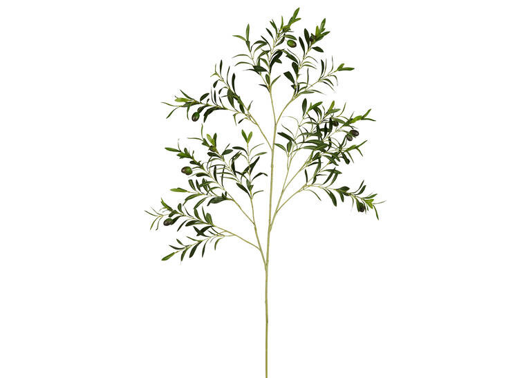 Fen Olive Branch | Urban Barn