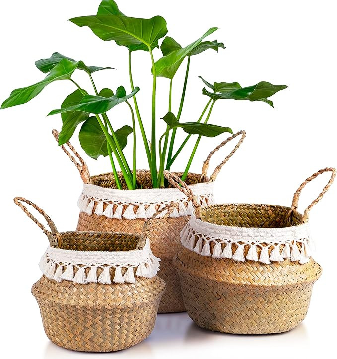 Encore Essentials Seagrass Woven Basket for Plants - Set of 3 Decorative Wicker Baskets with Hand... | Amazon (US)