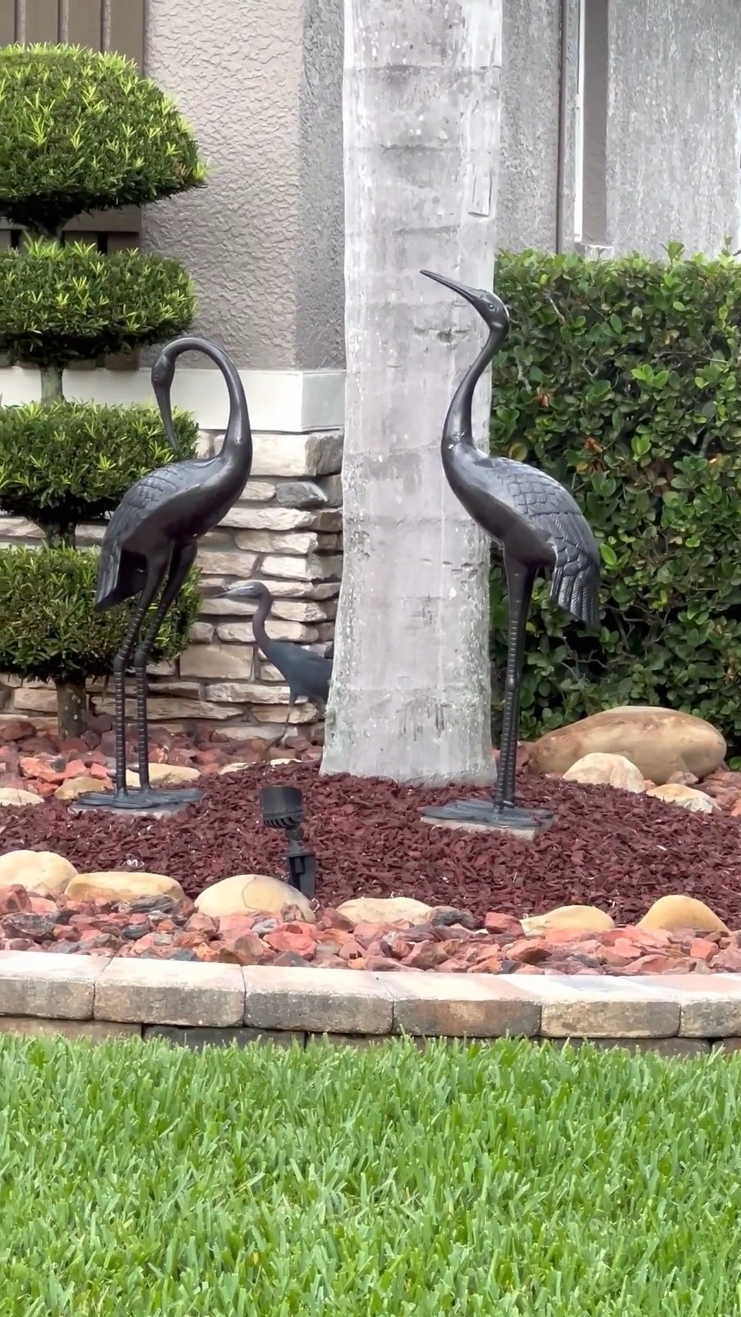 🐦Make your outdoor space beautiful and the birds will come visit! Lol
😂 

🐦Check out these Sandhill crane garden statues. A real life juvenile blue heron showed up walking behind the garden sculptures.

Linking outdoor patio finds for summer!

#LTKHome #LTKSeasonal #LTKvlog