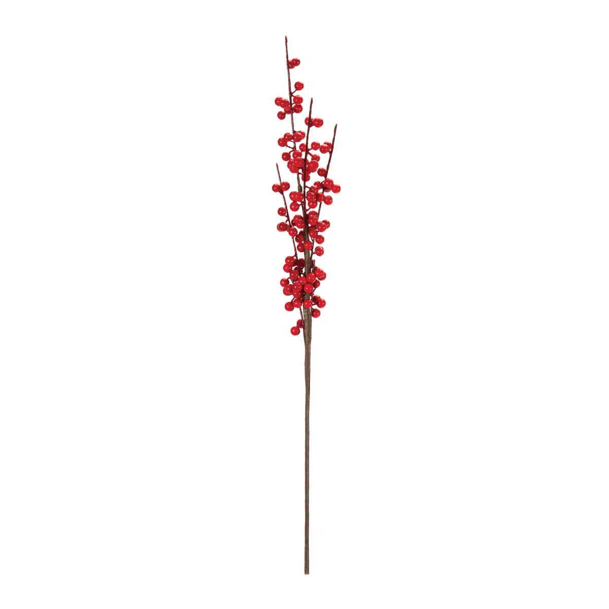 Berry Arrangement (Set of 6) | Wayfair North America
