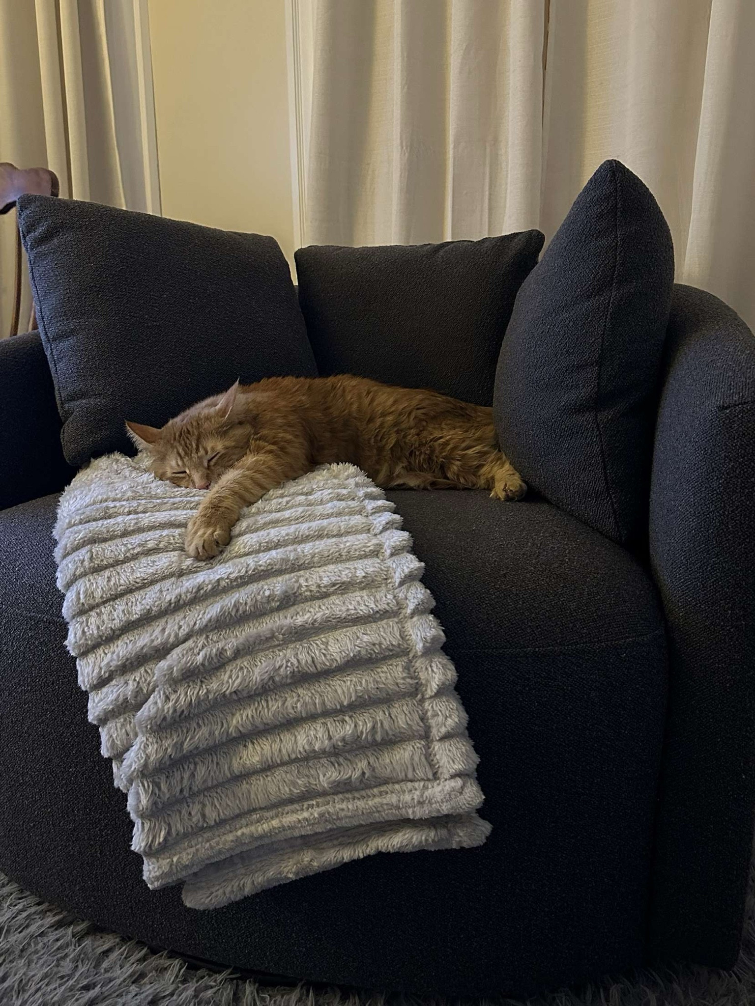 This chair has become the number one go-to for the family, and we can tell the cat loves it too! Cozy for any size living room!

#LTKHome