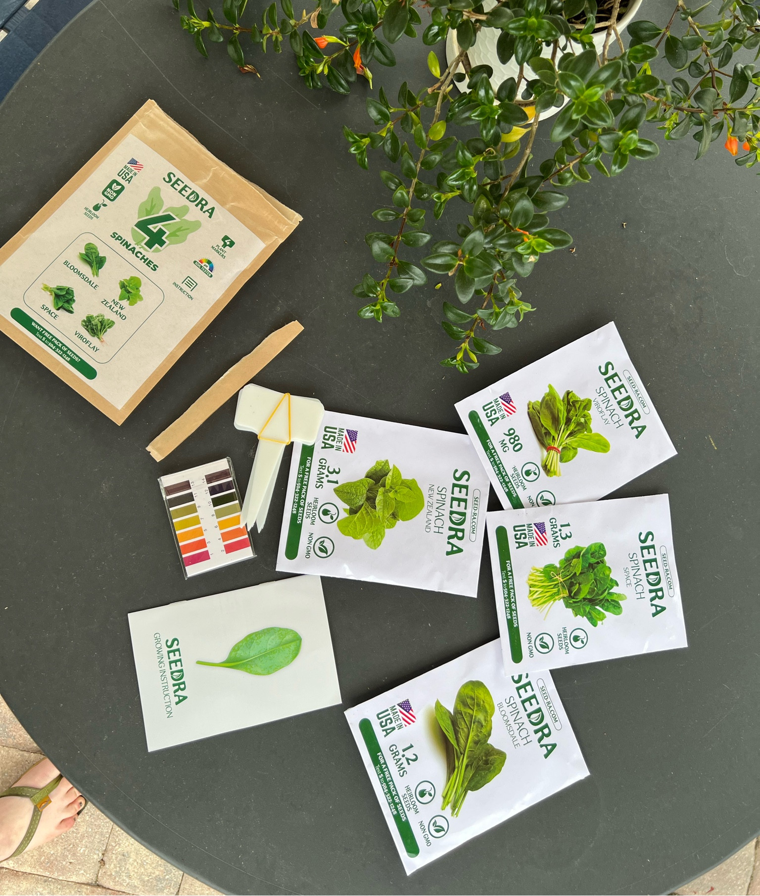 Picked up these spinach seeds for my garden! I’m excited to see them grow 🍃✨

#LTKFind #LTKhome #LTKSeasonal