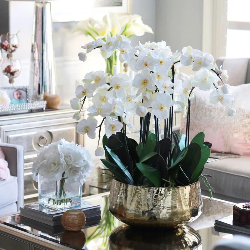 Roberi bowl with multiple stems of white Phalaenopsis orchids | Wayfair North America