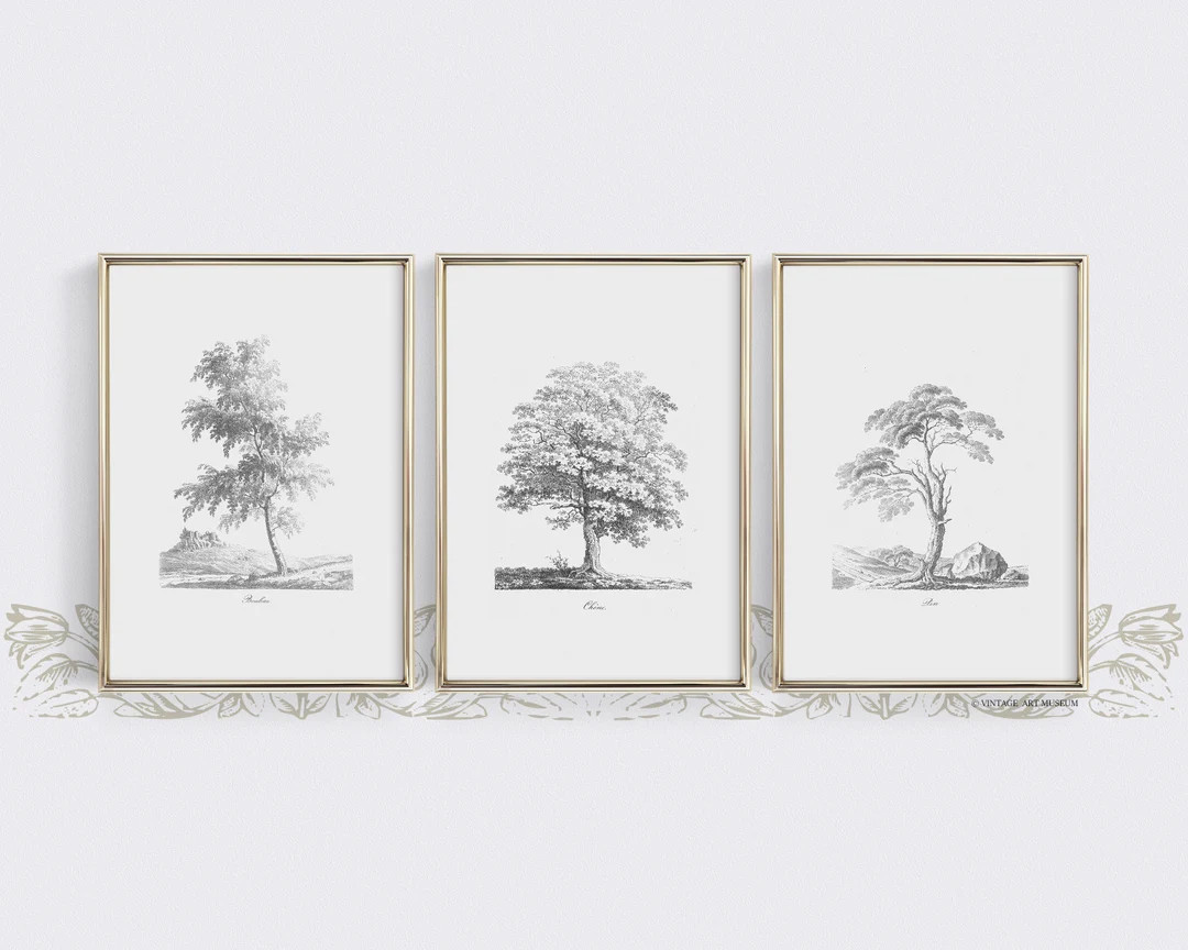 Trees Pencil Drawing Set of 3 Prints Vintage Sketch - Etsy | Etsy (US)