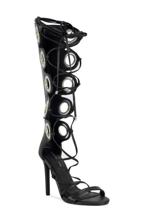 AZALEA WANG Agathon Gladiator Sandal in Black at Nordstrom, Size 11 | Nordstrom