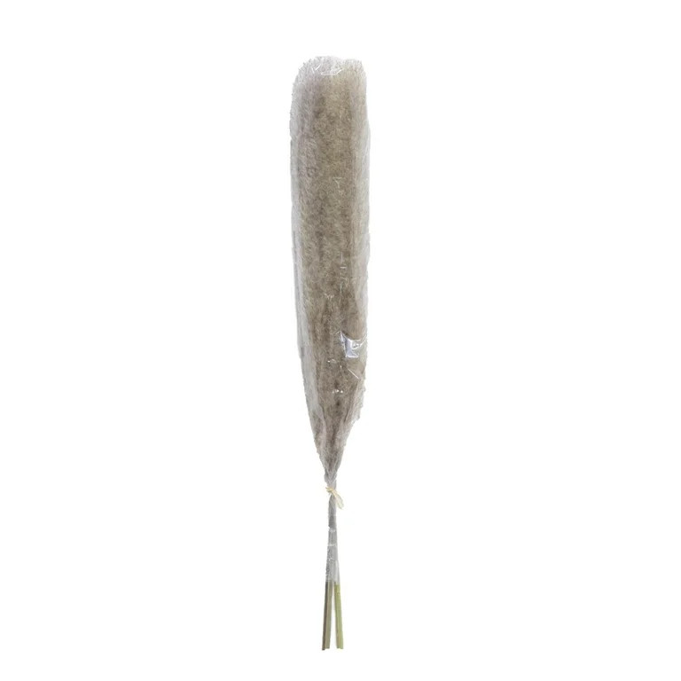 Mainstays 47"H Tall Decorative Natural Beige Pampas Grass | Walmart (US)