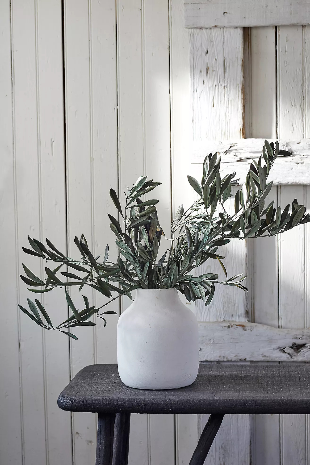 Preserved Olive Branch Bunch | Anthropologie (US)