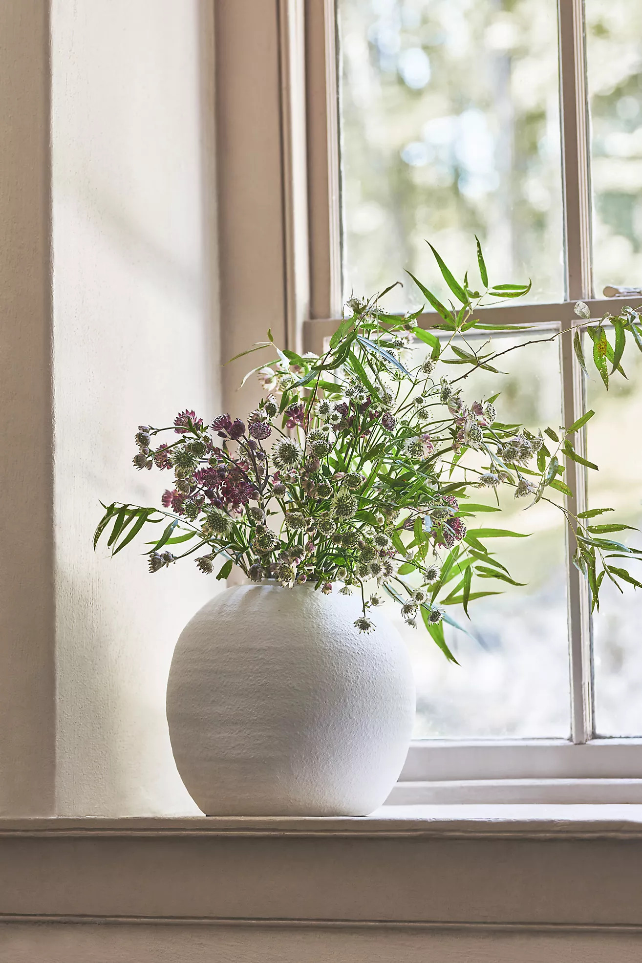 Capricorn Decorative Vessel | Anthropologie (US)