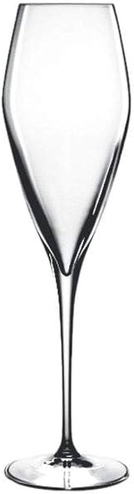 Luigi Bormioli Atelier 9.25 oz Champagne Glasses, 6 Count (Pack of 1), Clear | Amazon (US)
