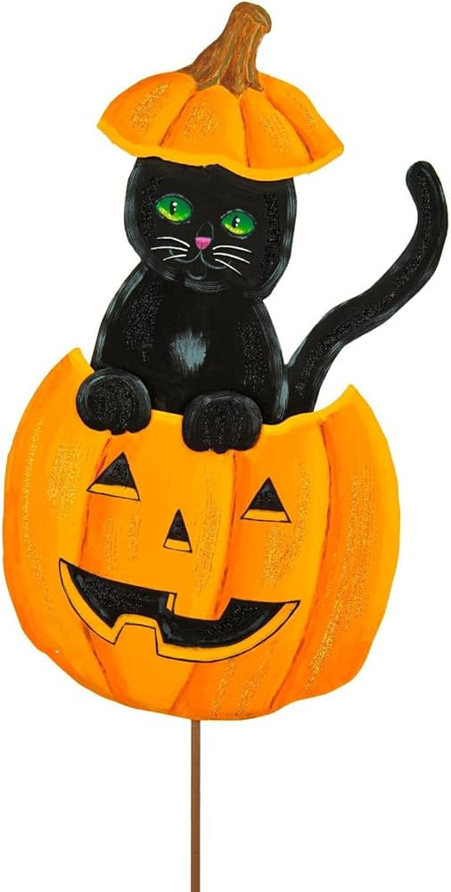 The Roundtop Collection Cat Ina Jack O Lantern | Amazon (US)
