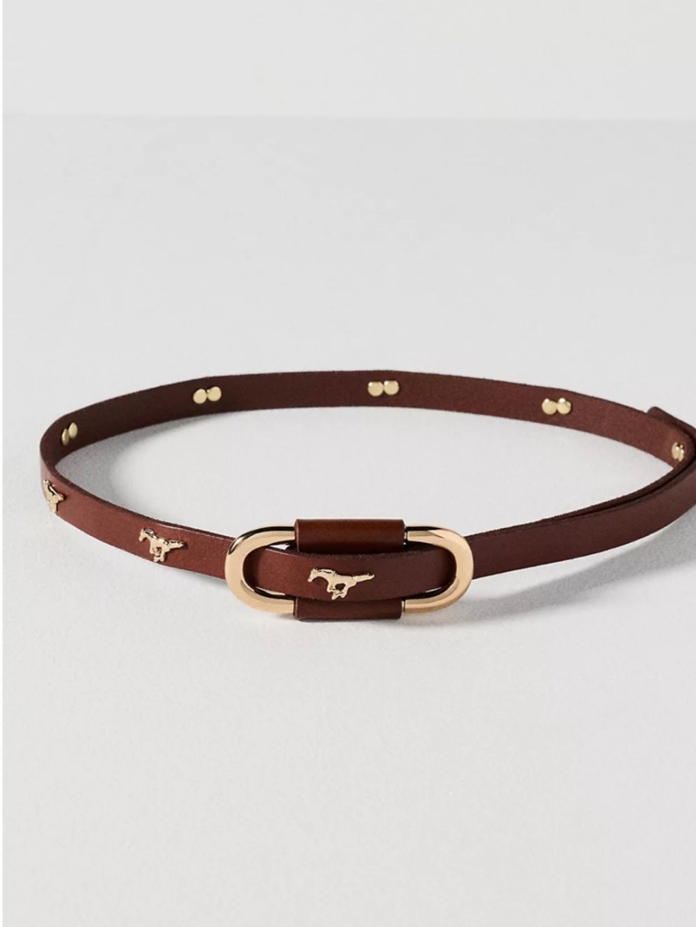 Leather horse belt

#LTKootd #LTKMidsize #LTKActive