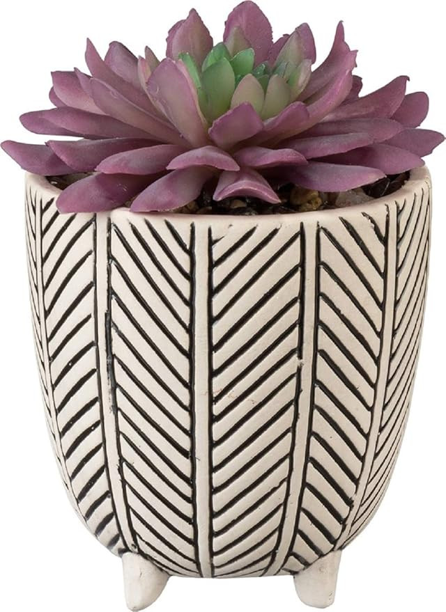 Primitives By Kathy Herringbone Planter | Amazon (US)