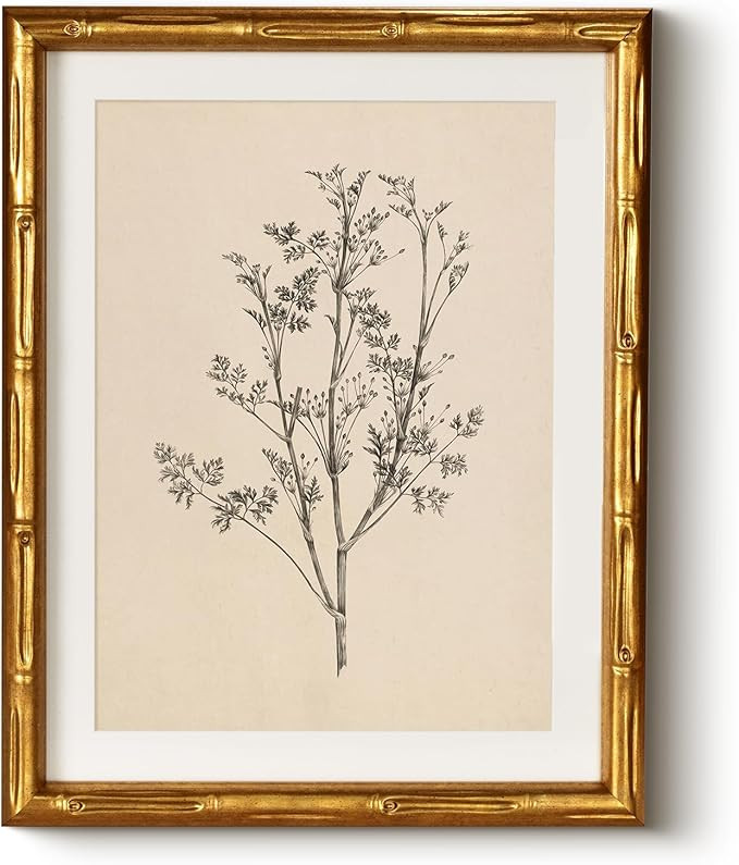 Vintage Botanical Gold Bamboo-Textured Framed Canvas Wall Art, 11x14 Inch Black White Plant Illus... | Amazon (US)