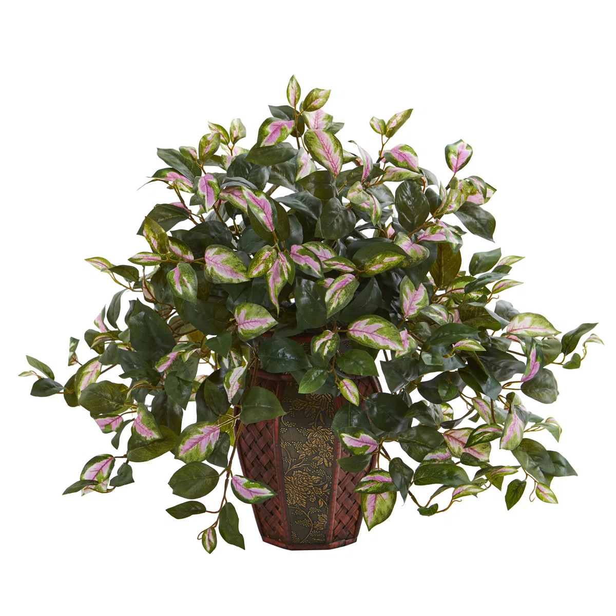 Hoya Arrangement in Planter | Wayfair North America