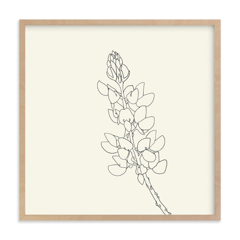 "Lupine" - Drawing Limited Edition Art Print by Jorey Hurley. | Minted