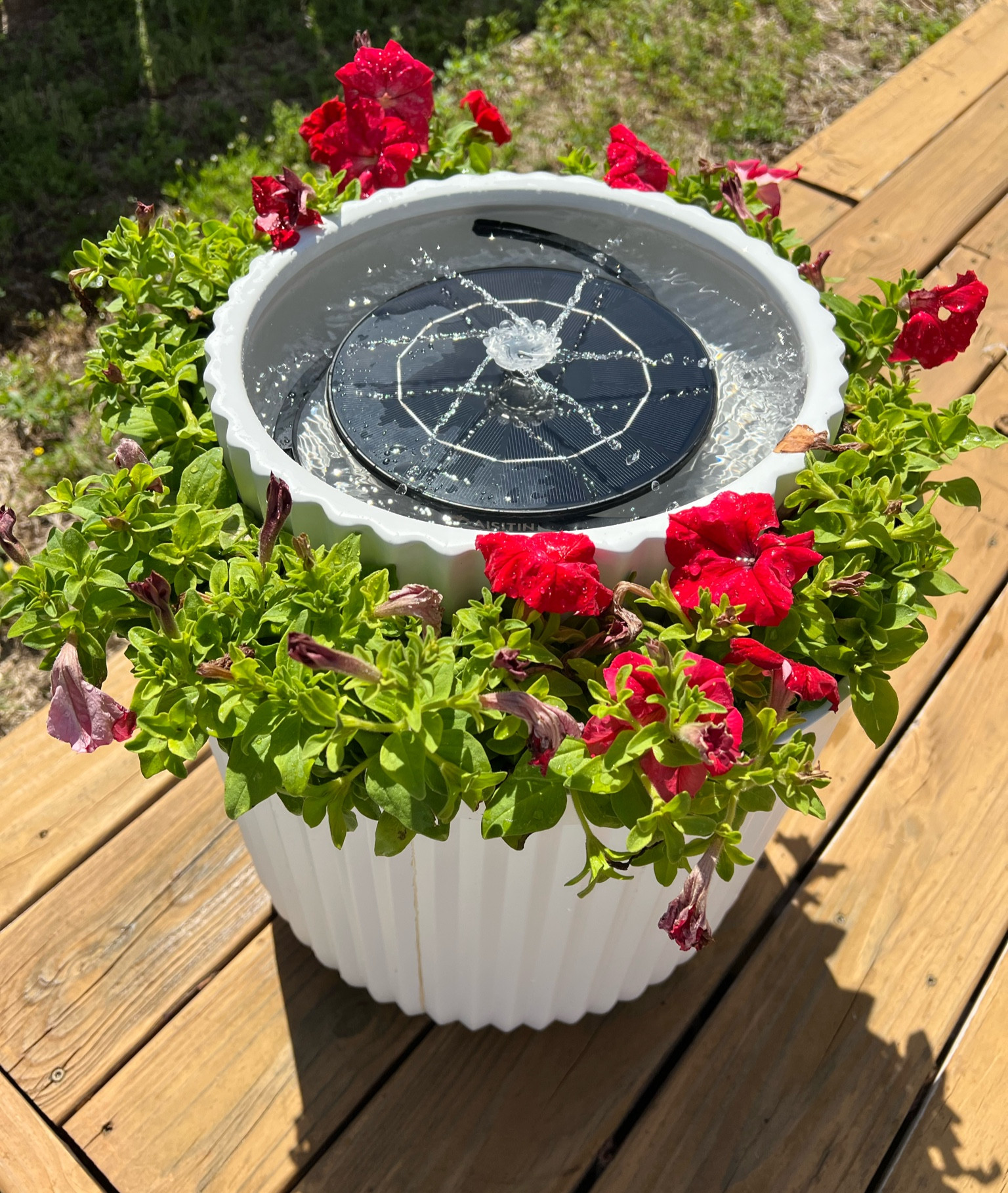 Solar fountain planter 

#LTKhome #LTKfindsunder50 #LTKfindsunder100