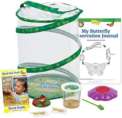 Insect Lore Butterfly Garden: Original Habitat and Live Cup of Caterpillars with STEM Butterfly J... | Amazon (US)