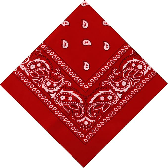 sularpek Paisley Bandana, Stylish Cowboy Headband Handkerchief, Premium Stylish & Versatile Banda... | Amazon (UK)