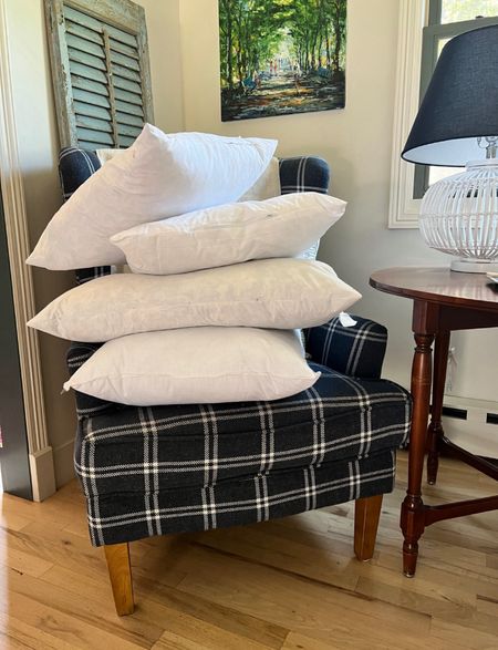 Pillow Inserts! Down, poly-fil, down alternative! My top rated choices and reviews! Pillow inserts for your decorative pillow covers. Options and price points vary.

#LTKunder50 #LTKFind #LTKhome