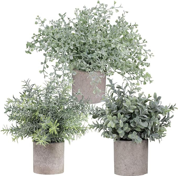 Winlyn Mini Potted Plants Artificial Flocked Eucalyptus Boxwood Rosemary Greenery in Pots Faux Po... | Amazon (US)