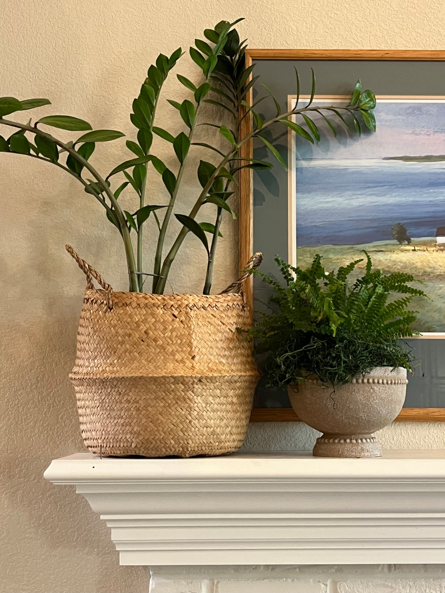 Enhance your plants by using interesting baskets and planters! This pedestal planter looks so much more expensive than it actually is, and fits in with just about every decor with it being a neutral textural container. I've linked a few for you here.🍃

#LTKHome #LTKdayinmylife #LTKActive