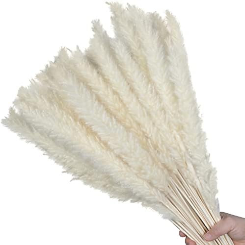 FOTEEWL Dried Pampas Grass 30 Pcs, Pompous Grass for Vase Flower Arrangement Wedding Kitchen Home De | Amazon (US)