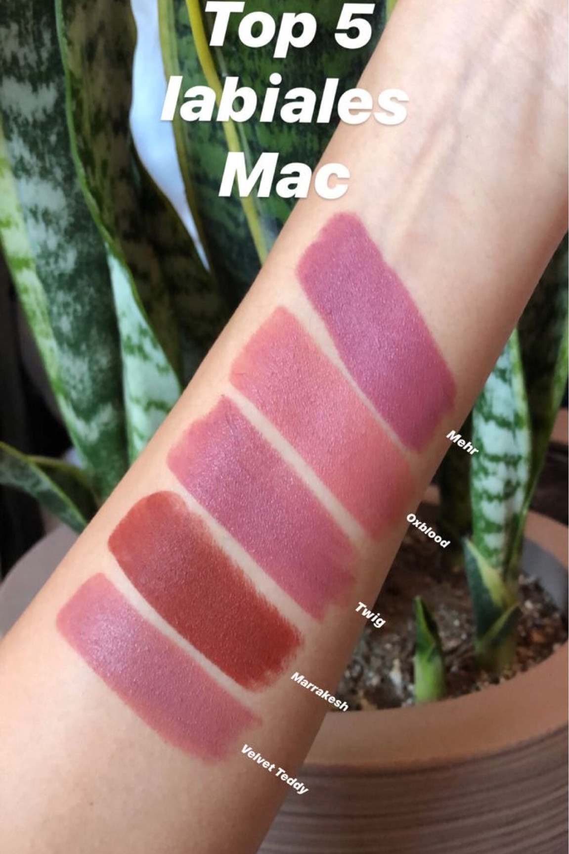 Um mais lindo que o outro 🥰💄💋

#LTKbrasil #LTKbeauty #LTKU