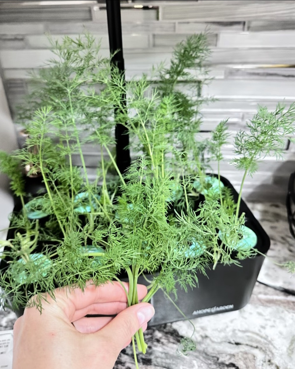 Indoor Garden Hydroponics Growing System: 10 Pods Plant Germination Kit Herb Vegetable Growth Lamp Countertop with LED Grow Light 

#LTKHome #LTKU