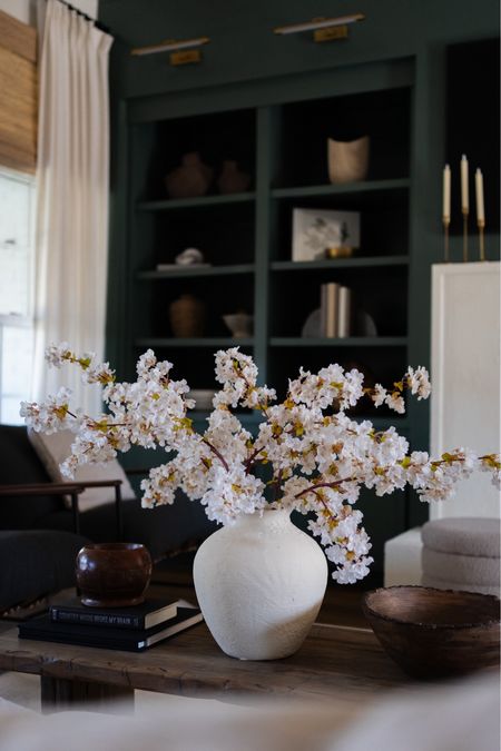 These cherry blossom stems are SO good! They look very realistic and are perfect for spring! 🌸

Faux stem, spring decor, affordable home decor, living room, living room design 

#LTKsalealert #LTKhome