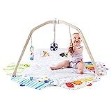 The Play Gym by Lovevery | Stage-Based Developmental Activity Gym & Play Mat for Baby to Toddler | Amazon (US)