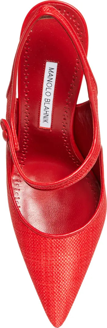 Camparisli Pointed Toe Mary Jane Slingback Pump (Women) | Nordstrom