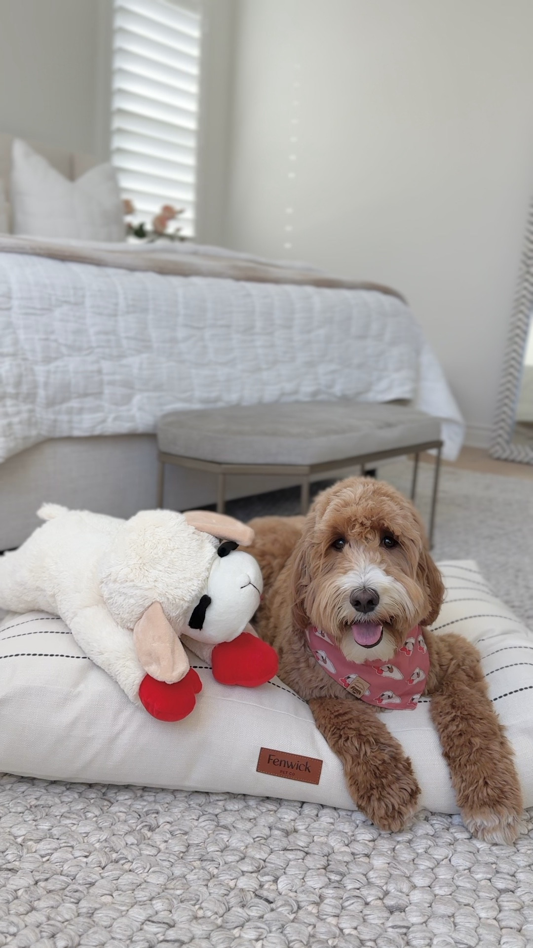 Lamb chop dog toy, dog bed, pet essentials, modern pet accessories, aesthetic dog bed 

#LTKVideo #LTKHome