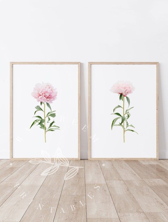 Peony Prints Set of 2 Peony Printable Wall Art Set of 2 - Etsy | Etsy (US)