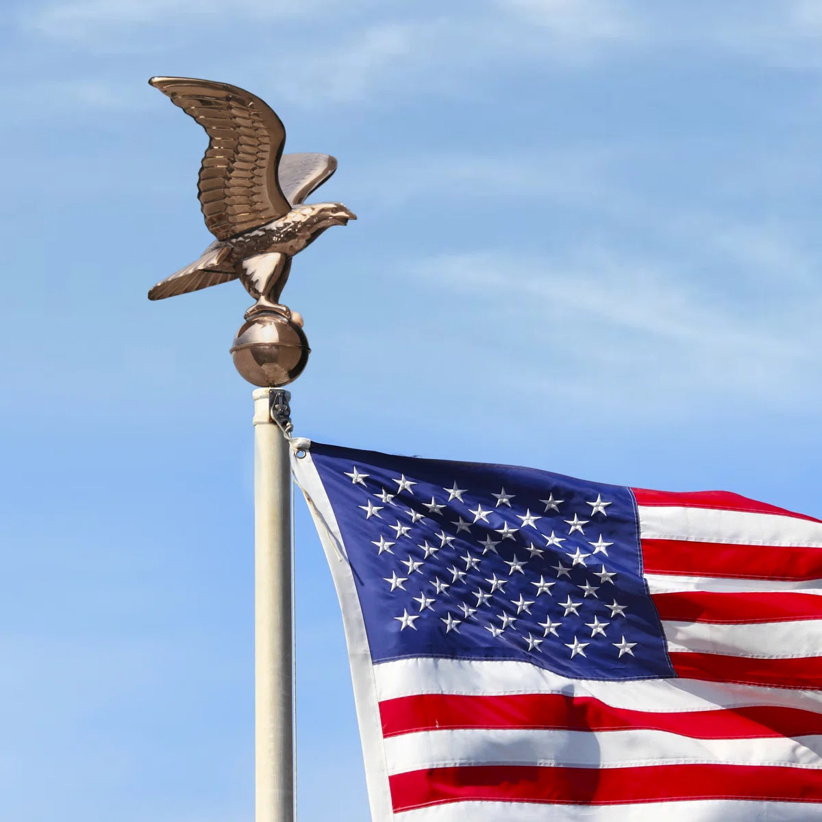 Garden Flagpole | Wayfair North America