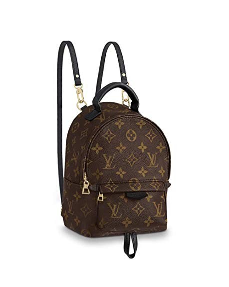 louis vuitton backpack amazon