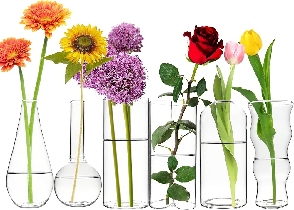 CYS EXCEL Glass Bud Vases Set of 6 Clear Mini Small Flower Vases Wedding Centerpiece Table Decora... | Amazon (US)
