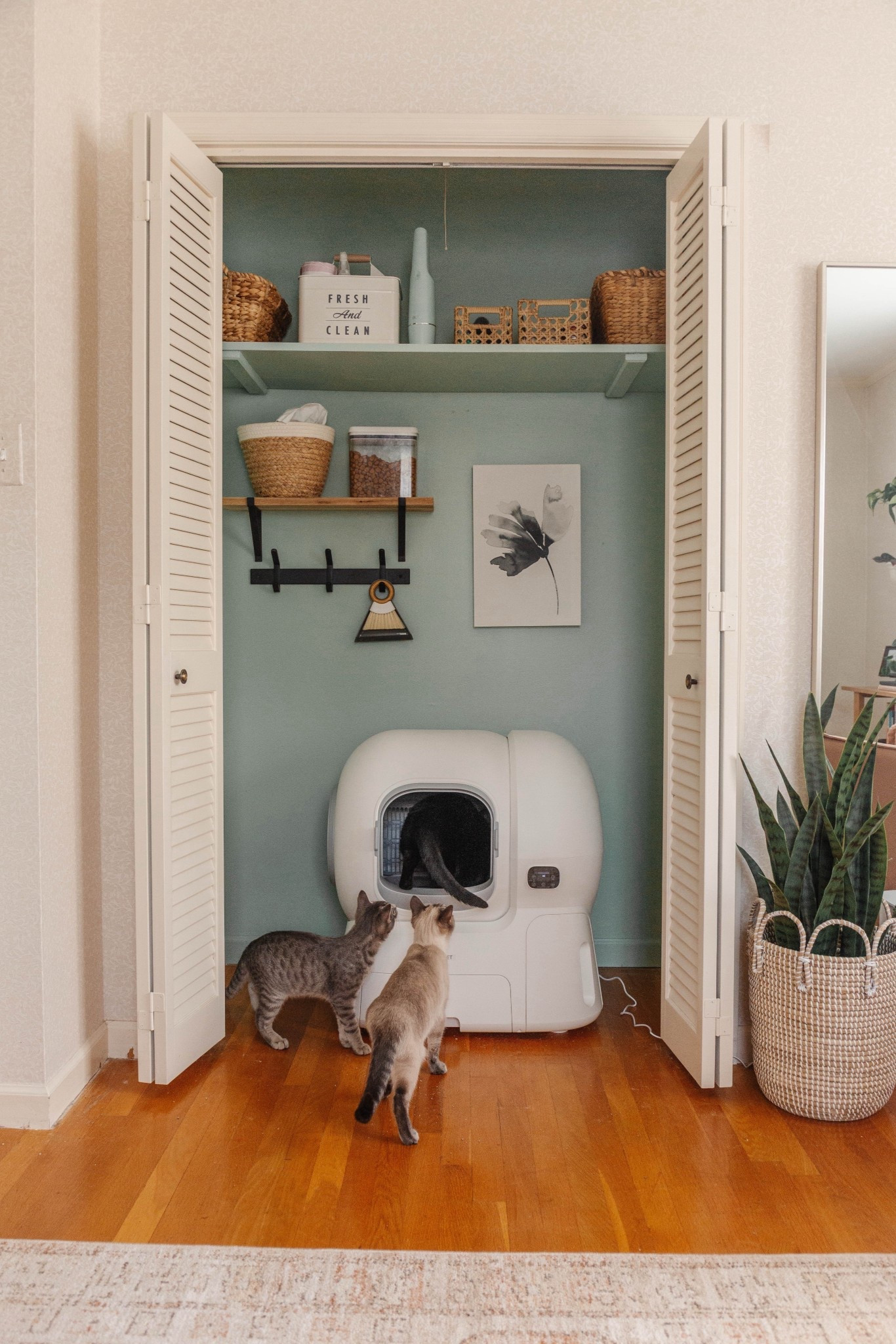 I think there’s probably no better piece of evidence to prove that our cats are SPOI-LED than this photo 🤣🐾😸 Their very own converted closet (complete with wall art), color-coordinated storage boxes and baskets, treats decanted into an air tight container to retain maximum crunch, and the bougiest automatic smart litter box you’ve ever SEEN. Speaking of…Their litter box is currently running with a $120 off coupon on Amazon if you want to spoil your own felines ahead of the new year. Let’s just call it a “self care” purchase for us humans since manually scooping litter is such a disgusting chore… 😉🍾🎁🐾

#LTKselfcare #LTKHome #LTKSaleAlert